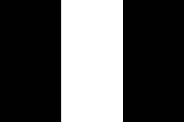 Bandiera tricolore proporzione linea verticale in modalità colore nero e n — Vettoriale Stock