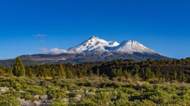 Mount Shasta bir bulut ve mavi gökyüzü ile Kuzey Kaliforniya'da.