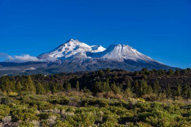 Mount Shasta bir bulut ve mavi gökyüzü ile Kuzey Kaliforniya'da.