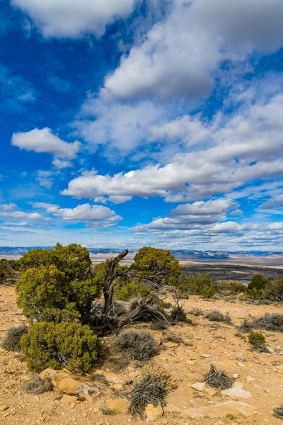 Visa Från Toppen Mcinnis Canyons Utah Med Blå Himmel Och — Stockfoto