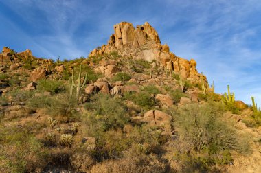 Arizona, Scottsdale 'deki Pinnacle Tepesi' nde çöl yolu..