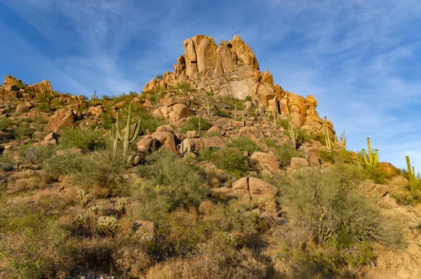 Wüstenwanderweg Pinnacle Peak Scottsdale Arizona — Stockfoto