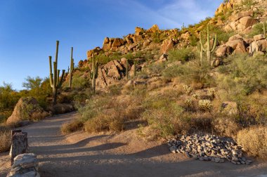 Arizona, Scottsdale 'deki Pinnacle Tepesi' nde çöl yolu..