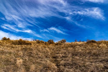 Mavi Gökyüzü Çölü