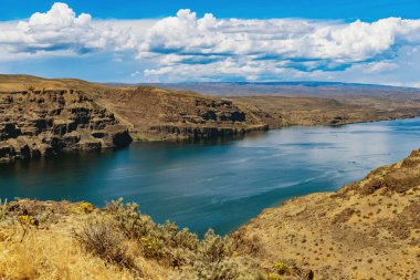 Columbia Nehri Çölü