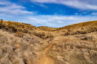 Kıvrımlı Çöl Yolu