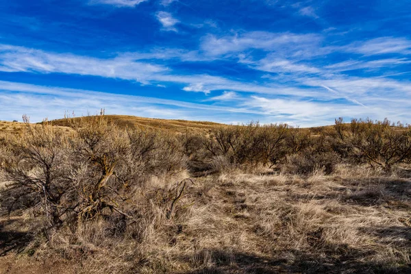 Foothill Desert — Stock Photo, Image