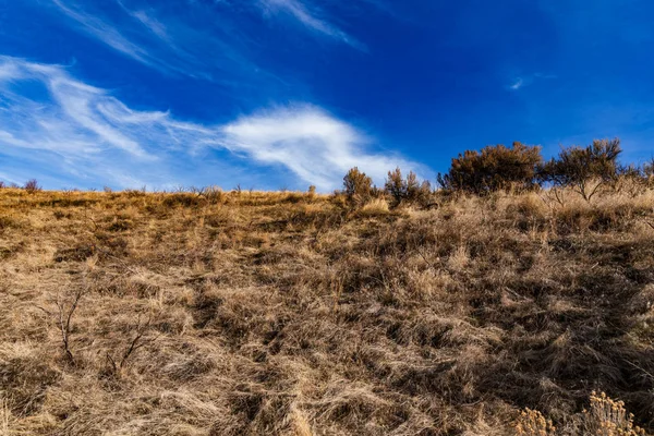 Paysage désertique élevé — Photo