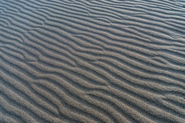 アイダホ州ブルノー砂丘の圧延砂 — ストック写真