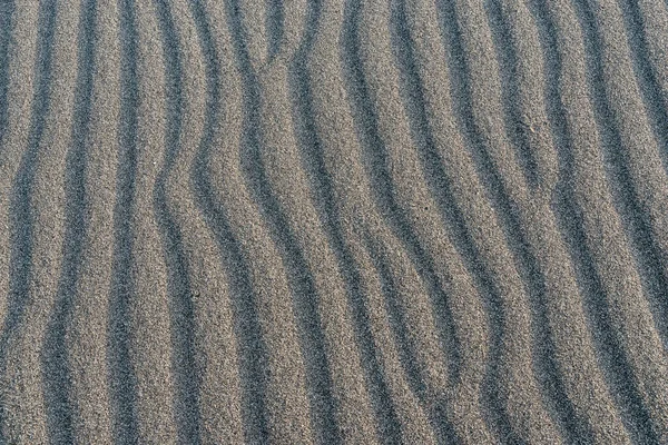 アイダホ州ブルノー砂丘の圧延砂 — ストック写真