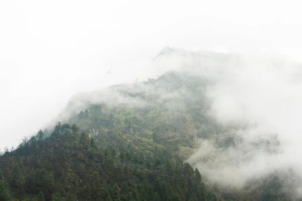Dağlar Aralık Sis Yeşil Tepeler Üzerinde Manzaralı Güzel Mavi Gökyüzü — Stok fotoğraf