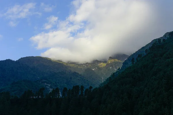 Nevoeiro Cobriu Toda Floresta Montanhas Com Céu Azul — Fotografia de Stock