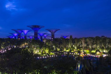 Singapore, Singapur - Eylül 24,2017: görünüm Singapur Supertree Grove Gardens Singapur ikonik yerlerinden olan Bay tarafından