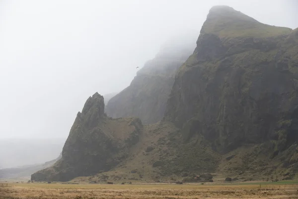 Islandia Montaña Rocosa Invierno Con Niebla Lluvia — Foto de Stock