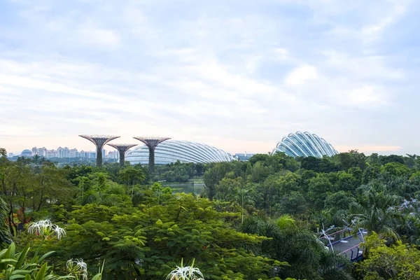 Singapur Singapur Septiembre 2017 Super Tree Grove Gardens Bay Uno —  Fotos de Stock