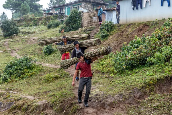 Nepal Erkek Hip Yeşil Bambu Khumbu Nepal Köyde Yürürken Taşımak — Stok fotoğraf
