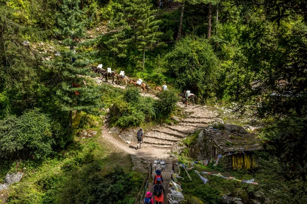 Caminata Trekker Camino Campamento Base Everest Área Khumbu Nepal — Foto de Stock