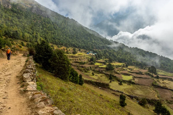 Namche Bazaarı Everest Ana Kampı Bölgesinde Nepal Yakınlarındaki Khumjung Yeşil — Stok fotoğraf