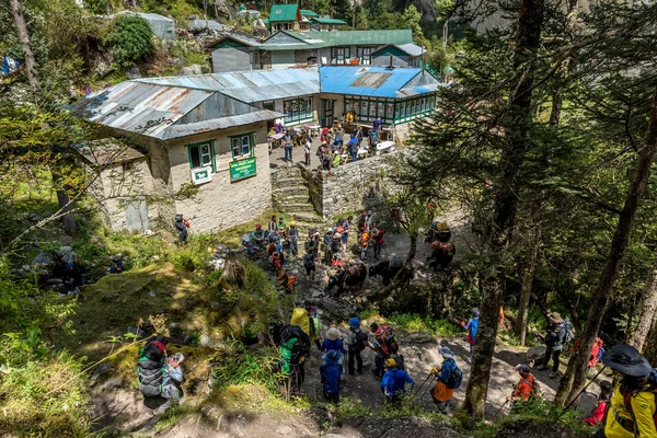 Caminata Trekker Camino Campamento Base Everest Área Khumbu Nepa — Foto de Stock