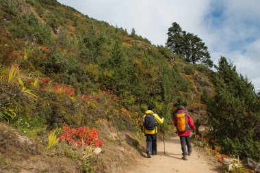 Kimliği belirsiz trekker orman trek görünümünden herhangi bir zamanda bakış, Namche ın Bazaarı manzarayı