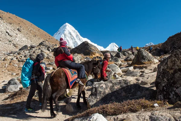 Trekker Portero Con Paisaje Montaña Río Camino Dingboche Lobuche Región — Foto de Stock