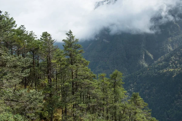 Vista Panorámica Rodeada Bosque Verde Parque Nacional Sagarmatha Everest Nepal —  Fotos de Stock