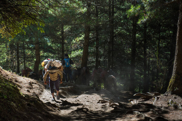 Trekker walk on way to Mt.everest base camp in Khumbu area, Nepal
