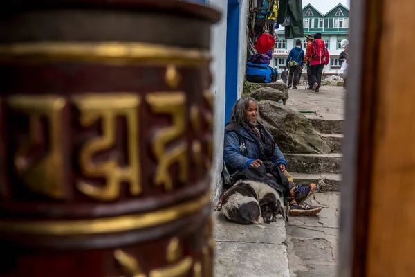 Homem Não Identificado Senta Com Cão Caminho Capa Base Everest — Fotografia de Stock
