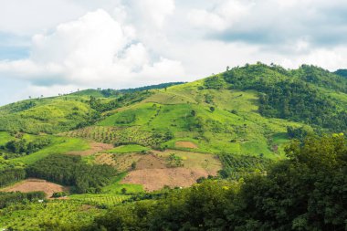 Dağlar ve pirinç tarlaları ile yol ve güzel gökyüzü Panoraması