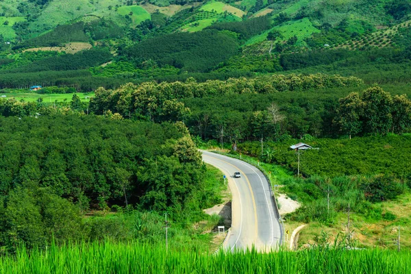 Ormanın Ortasında Kırsal Yol Ile Havadan Görünümü — Stok fotoğraf