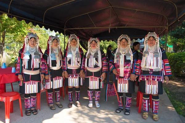 Chiang rai, Tayland güzel grup Asya Bayan Akha kabile portresi.