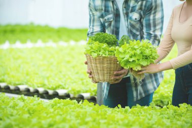 Asyalı erkek ve asyalı kadın el yeşil marul sepeti tutun i