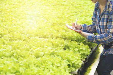 Organik sebze çiftliği, Asya kadın çiftçiler organik vege incelemek