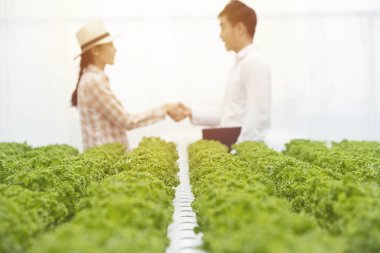 Arka planda asya çiftçi bahçıvan kadın ile işadamı el kontrol bulanık ile yeşil meşe organik sebze çiftliği odaklanmış, Küçük işletme girişimci ve organik sebze çiftliği ve sağlıklı.