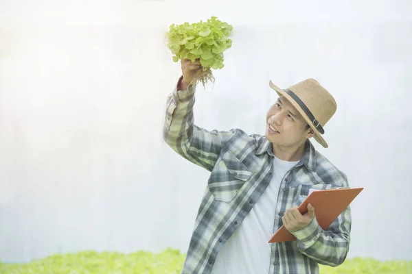 Asiatisk bonde man undersöker växt blad färska grönsaker i växthus hydroponiska ekologisk gård, småföretag entreprenör och ekologisk grönsaksodling och hälsosam matkoncept — Stockfoto