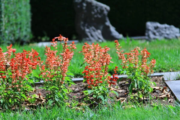   Kilise doğası arka plan manzarası