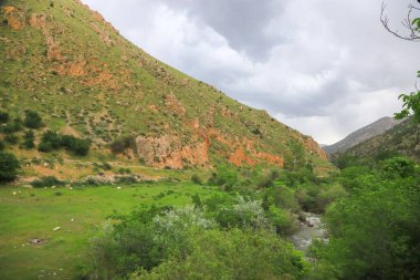 Cennet, dünya, şömineler, çimenler, manzara çiçekler yanıyor.