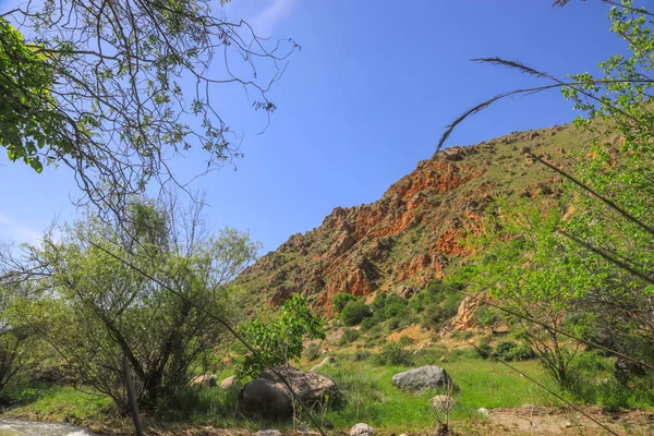 Cennet, dünya, şömineler, çimenler, manzara çiçekler yanıyor.
