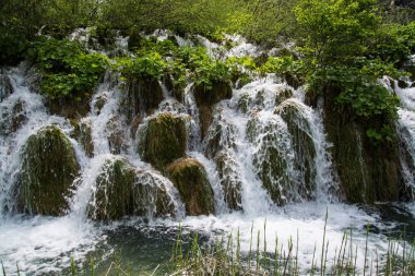 Bir Güneydoğu Avrupa'nın en eski national parks ve Hırvatistan'daki en büyük milli park Plitvice Gölleri Milli Parkı biridir.