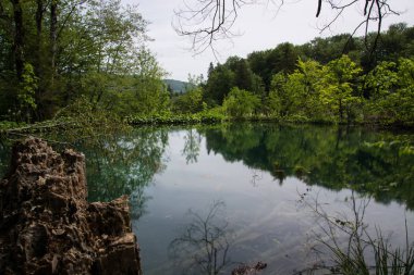 Bir Güneydoğu Avrupa'nın en eski national parks ve Hırvatistan'daki en büyük milli park Plitvice Gölleri Milli Parkı biridir.