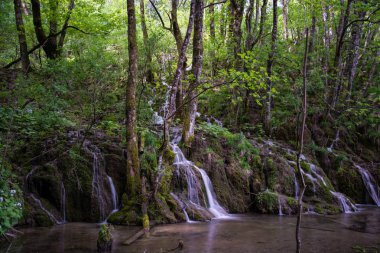 Bir Güneydoğu Avrupa'nın en eski national parks ve Hırvatistan'daki en büyük milli park Plitvice Gölleri Milli Parkı biridir.
