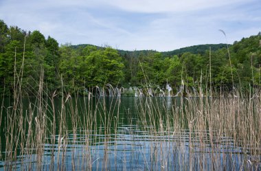 Bir Güneydoğu Avrupa'nın en eski national parks ve Hırvatistan'daki en büyük milli park Plitvice Gölleri Milli Parkı biridir.