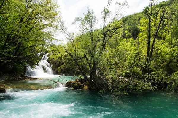 Plitvice 유럽에서 National Parks와 크로아티아에서 하나입니다 — 스톡 사진