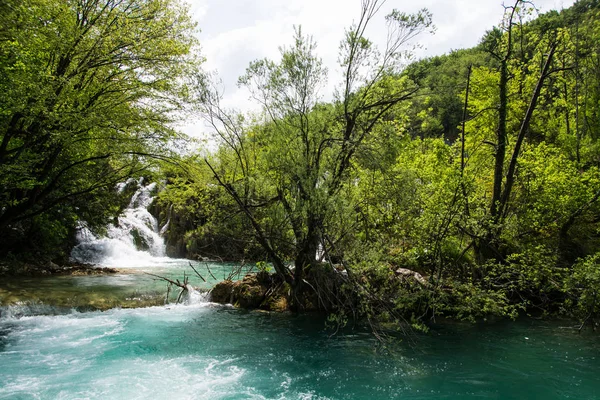 Parc National Des Lacs Plitvice Est Des Anciens Parcs Nationaux — Photo