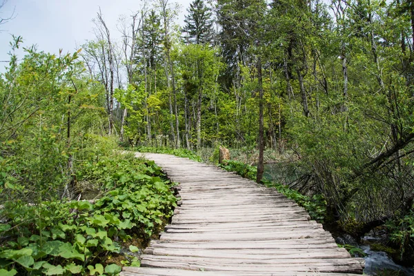 Parque Nacional Dos Lagos Plitvice Dos Parques Nacionais Mais Antigos — Fotografia de Stock