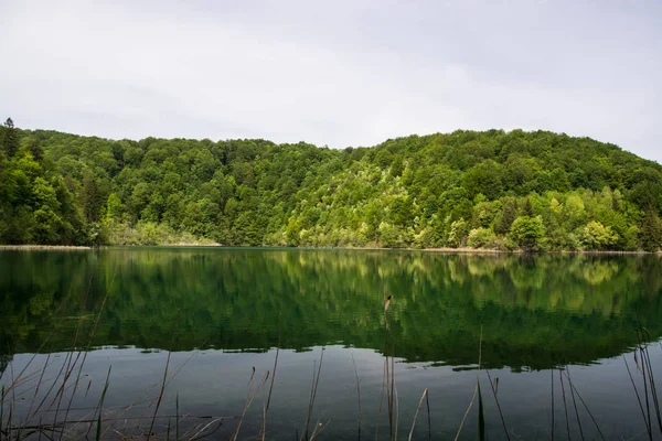 Taman Nasional Plitvice Lakes Adalah Salah Satu Taman Nasional Tertua — Stok Foto