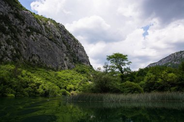 Cetina Güney Hırvatistan bir nehirdir ve Adriyatik Denizi akar.