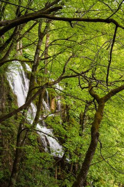 Bir Güneydoğu Avrupa'nın en eski national parks ve Hırvatistan'daki en büyük milli park Plitvice Gölleri Milli Parkı biridir.