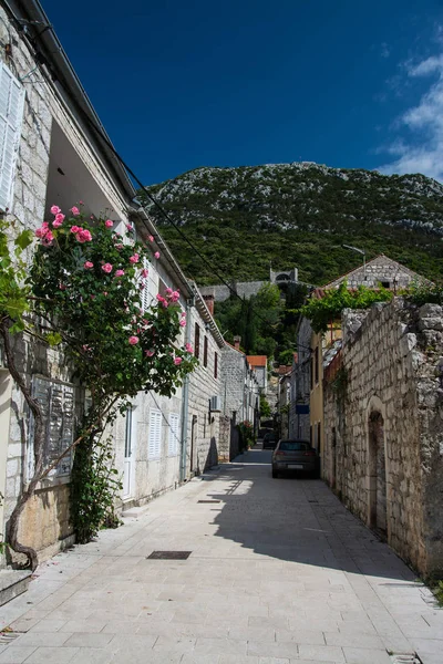 Ston Una Ciudad Ubicada Condado Dubrovnik Neretva Estado Estadounidense Croacia — Foto de Stock