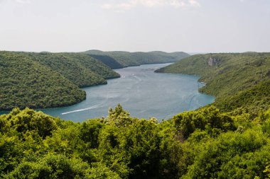Lim Körfezi ve Vadisi bir özelliktir kendine özgü coğrafi Istria, Hırvatistan'ın batı kıyısında. 